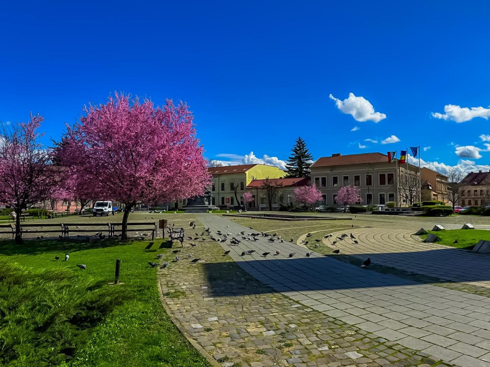 Hera'S Garden Arad Buitenkant foto